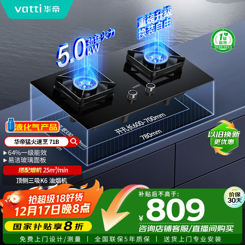华帝（VATTI）国家补贴20%燃气灶煤气灶台式嵌入式5.0kW猛火熄火保护一级能效双灶台灶具i10071B【液化气商品