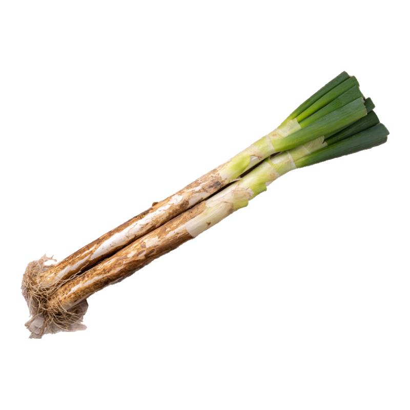 亨泰丰源新鲜大葱正宗山东铁杆长白葱农家自种露天种植去半叶带老皮 5净重 去半叶 带老皮带根