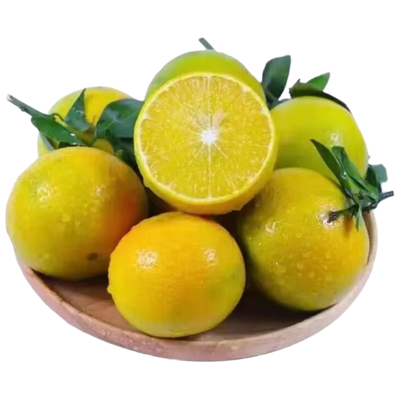 ������ ���칱�� 4.5��װ ����60-65mm Դͷֱ������ 13.9Ԫ