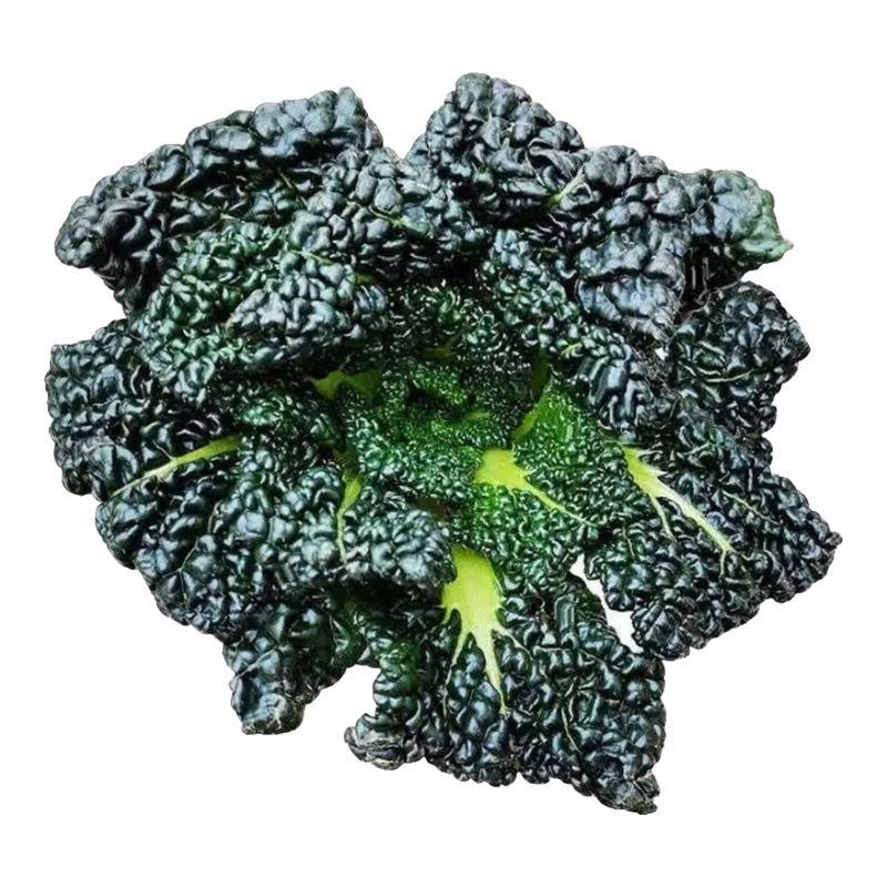 ���ڲ�������������ˡ�����������ũ�������߲˺�Ҷ����˰���˪��������� ������5�+������6�� 16.99Ԫ