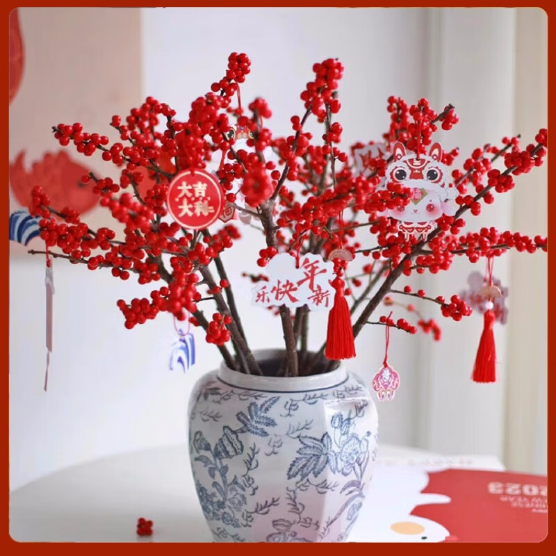 中梦特级北美冬青鲜切花红果鲜花盆栽真花水培植物发财果年宵花卉花束 A级北美冬青鲜切20cm2枝 【体验装不长】