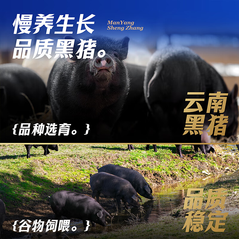 蟹状元【礼券】云南黑猪肉年货礼盒大礼包 1088型6件食材共2750g