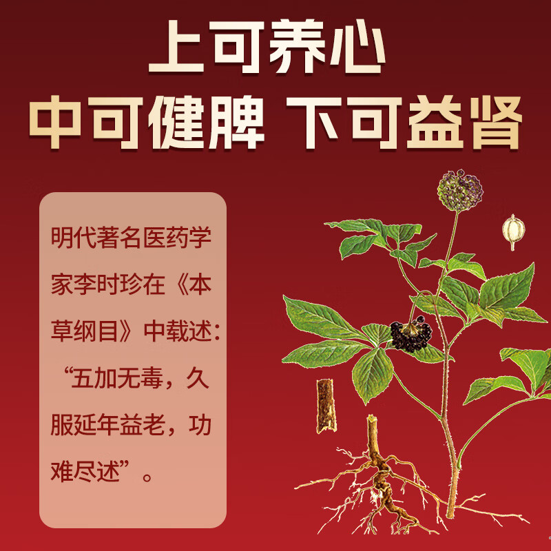 [阿房宫]刺五加颗粒 10g*10袋 3盒装 益气健脾 补肾安神 用于脾肾阳虚 体虚乏力 食欲不振 腰膝酸软 失眠多梦