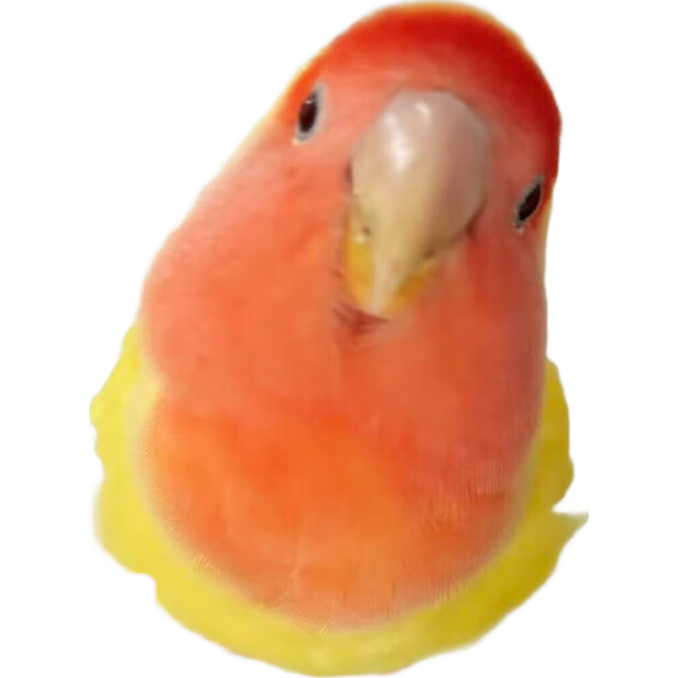 ĵ�����Ļ�����������̽������������ձ��Ҷ�������С�������� ������������ĵ��-���� 228Ԫ