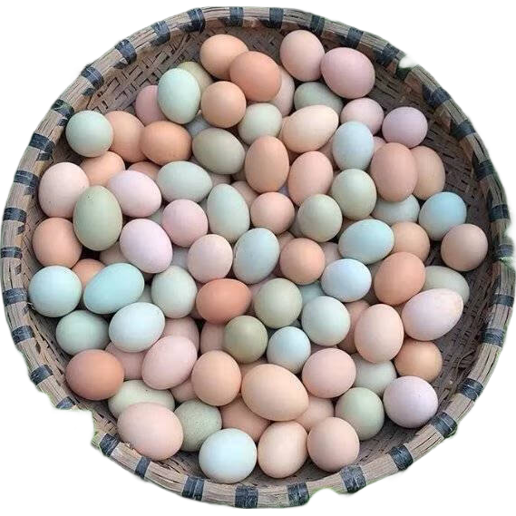 ��ϲ �Ż�ɽ�ּ�ɢ���̿��ڼ������װ 50ö��25ö������+25ö�ڼ�����35-45g 29Ԫ(������ɱ)