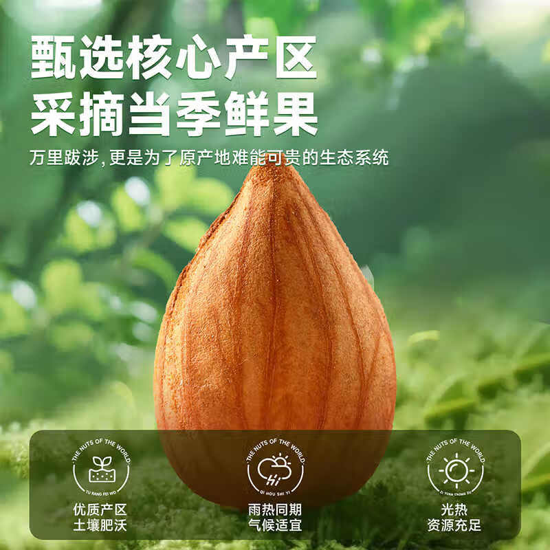 味滋源甜杏仁 南杏仁生甜不苦烘焙原味坚果可做杏仁露果干年货 228g/罐*2