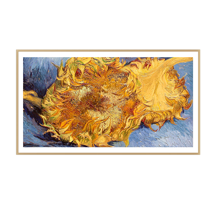 PLUS��Skyworth/��ά A7H Pro 75Ӣ����� 75A7H Pro 6810.26Ԫ