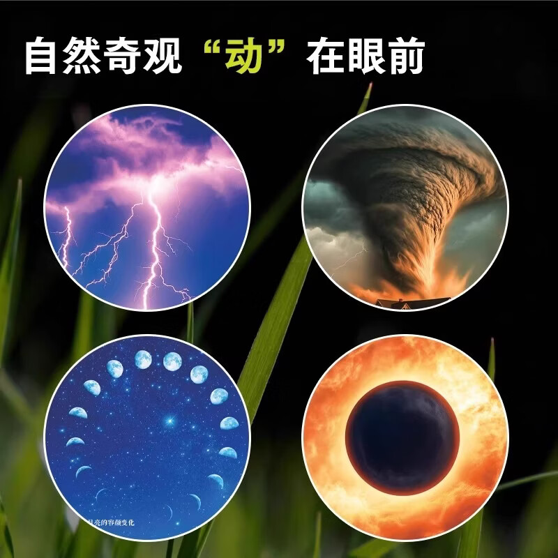 万物大视界自然百科全书儿童纸上纪录片一整本的高清大图 给孩子的视觉盛宴 少儿科普绘本百科全书课外小植物绘本漫画官方正版书籍 【加厚版】万物大视界自然百科（全彩印刷/超清大图）