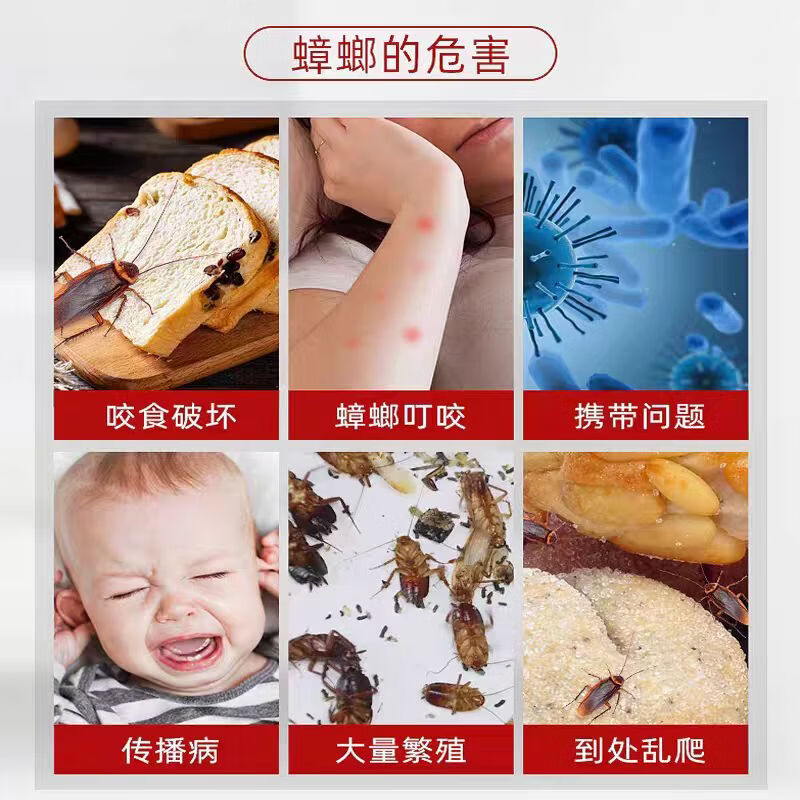 灭蟑螂药杀蟑螂无毒家用强效全窝端室内蚂蚁蜘蛛厨房饭店虫卵双杀 【20袋装】回巢灭窝/适用120-200平