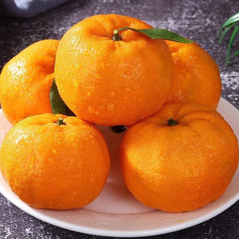 早熟新鲜椪柑丑橘子耙耙柑应季新鲜水果芦柑酸甜多汁桔子整箱包邮 带箱4斤 实惠装【单果130g+】