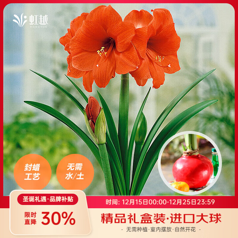 ��Խ��HONGYUE�������춥��������ڴ���ӼҰ칫�ڷ�װ������������ ����м�װ�����򡿳�ɫ��ά��28/30�� 54.42Ԫ