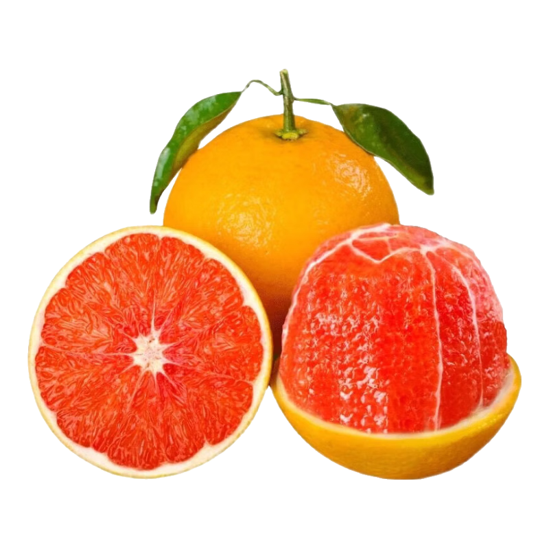 ����Ѫ�� �л���Ѫ����������ʹ� 80mm+���� ����9�� ԭ����ֱ�� 21.99Ԫ(����ȯ)