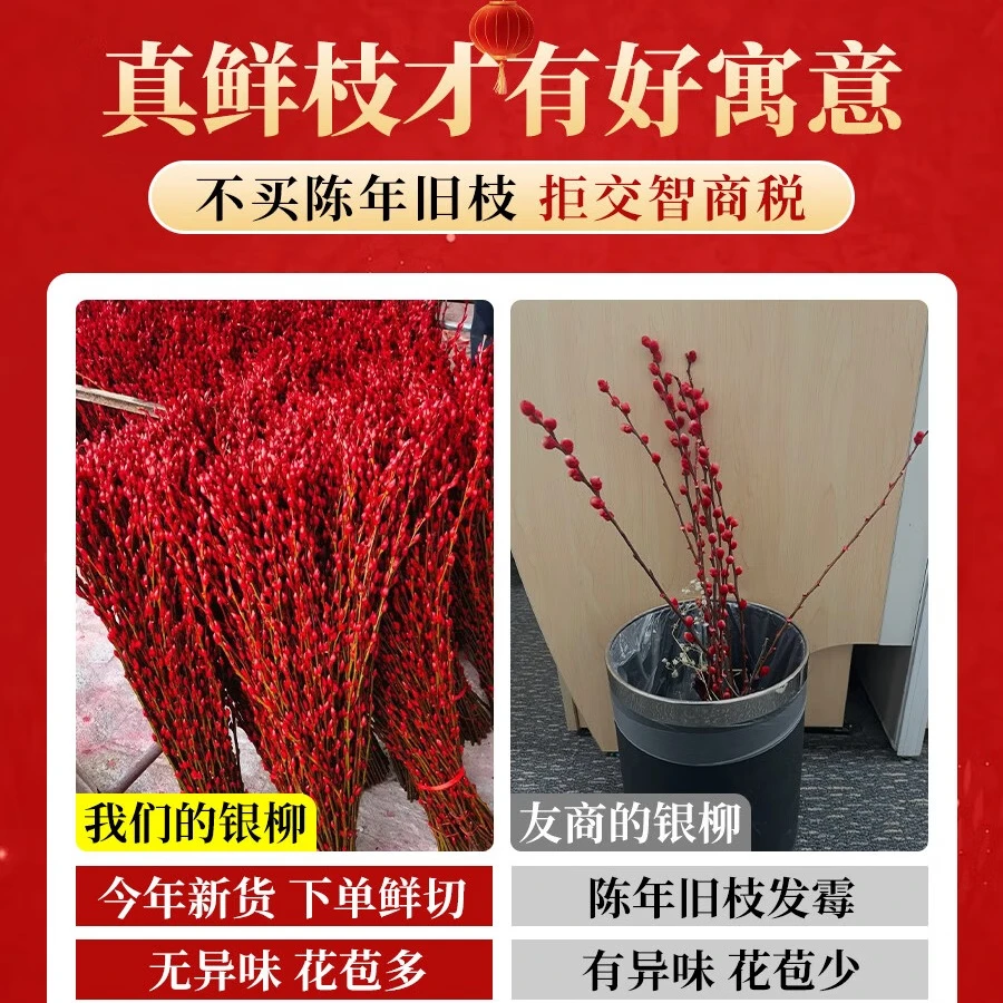 爱你一万年银柳真花鲜枝客厅抱抱福桶装饰摆件干花红色2025过新年宵花卉盆栽 银柳45cm30支(福桶12口径+4灯笼+10挂件