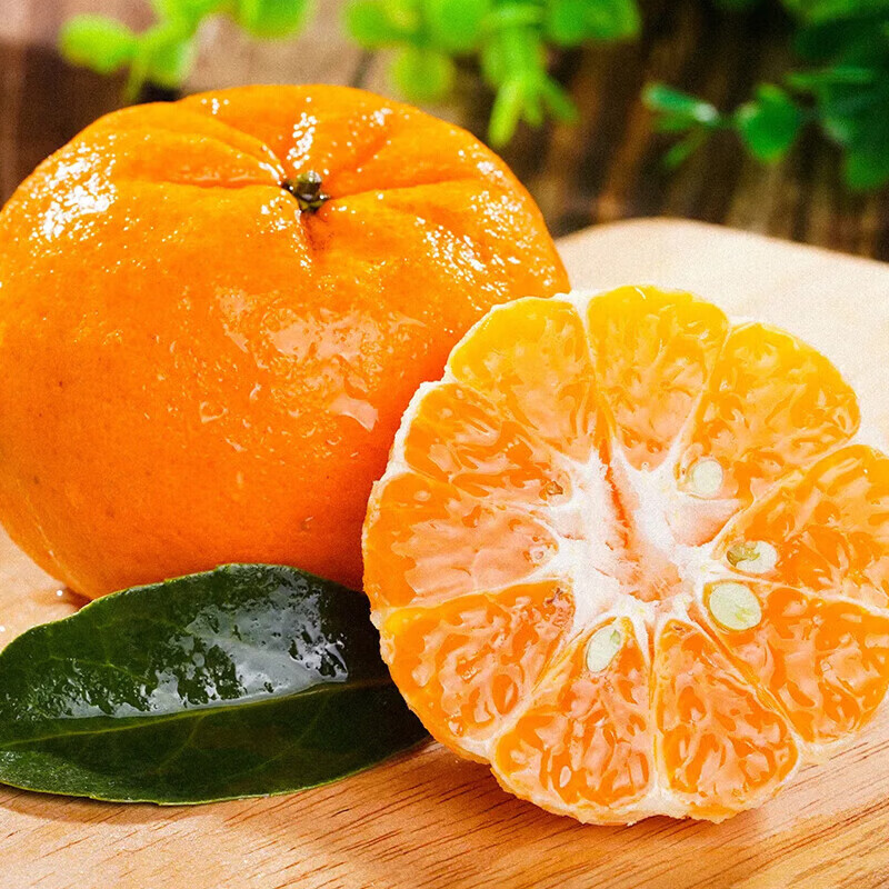 早熟新鲜椪柑桔子耙耙柑新鲜水果芦柑甜当季桔子产地直发 净重4斤【实惠装】单果130克+