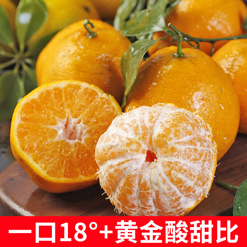 馋果野正宗四川春见耙耙柑新鲜水果丑柑9斤整箱过节送礼水果礼盒柑橘 带箱5斤【中果】70-75mm