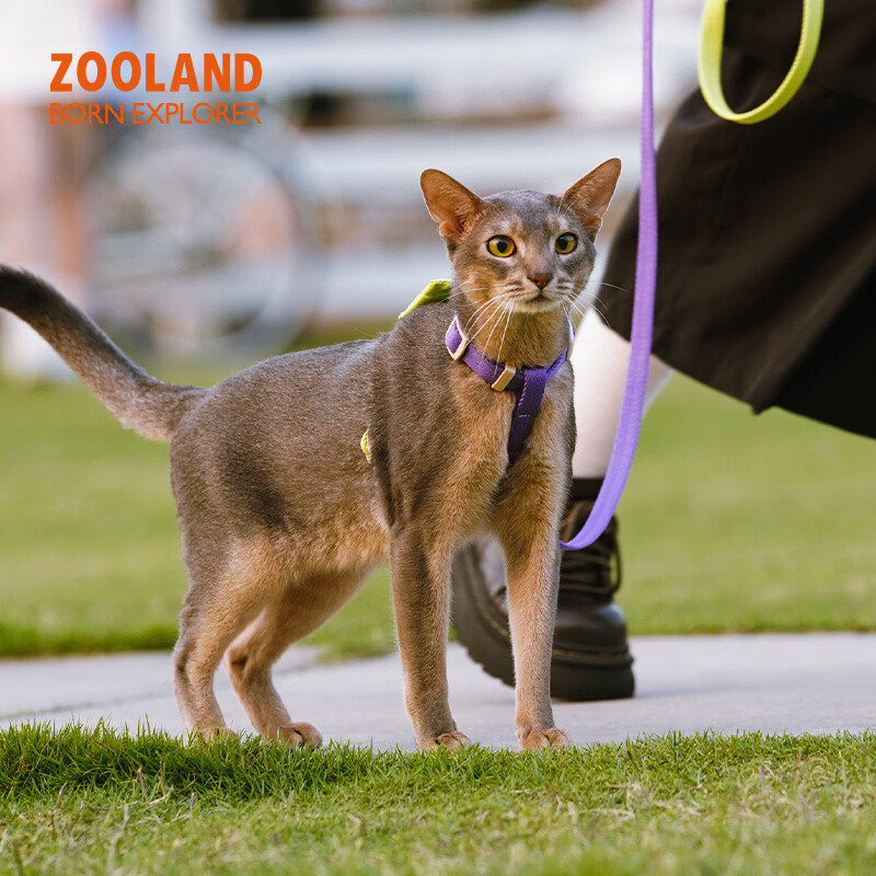 OIMG遛猫咪牵引绳防挣脱外出专用不勒脖工字型胸背溜小猫绳子 翠野 S码(胸围27-35cm)建议3-5斤