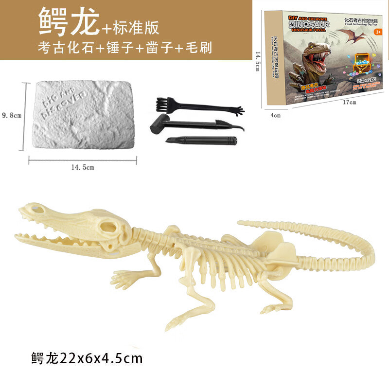 【好物优选】恐龙化石考古挖掘儿童玩具挖土盲盒霸王龙骨架模型三 彩盒装霸王龙