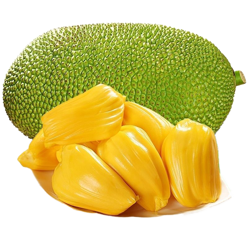 ������Խ�Ͻ��ڲ�����һ��������12-14������ˮ��Դͷֱ��һ������ 124.9Ԫ