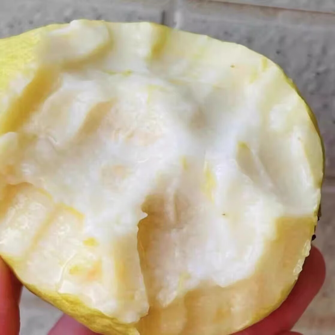 绿熊庄园广东树熟软糯红心白心奶油芭乐番石榴当季新鲜低糖水果｜京东快递 双拼红白心芭乐净重3斤