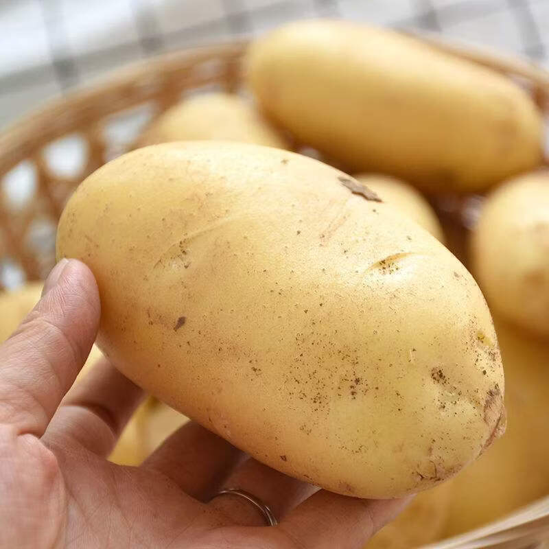 贵州威宁土豆蔬菜马铃薯洋芋黄皮黄心土豆新鲜整箱正宗现挖现发 贵州黄心土豆【10斤装】更划算
