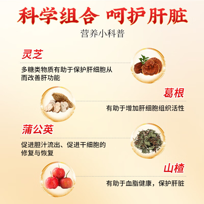 朕皇北京同仁堂葛根灵芝片养肝护肝片口苦口臭熬夜常备清肝调理 【2瓶分享装】 120粒*2瓶