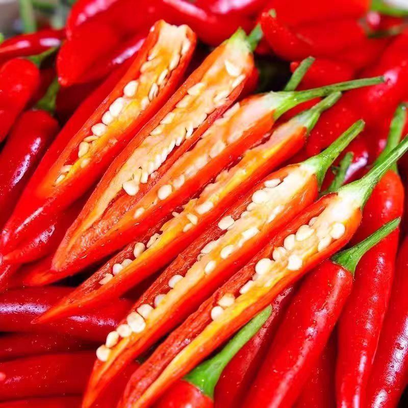 新鲜采摘贵州小米椒餐饮巨辣朝天椒指天椒特辣小米辣可做泡椒剁椒 品质尝鲜【巨辣1斤】爆辣小米椒