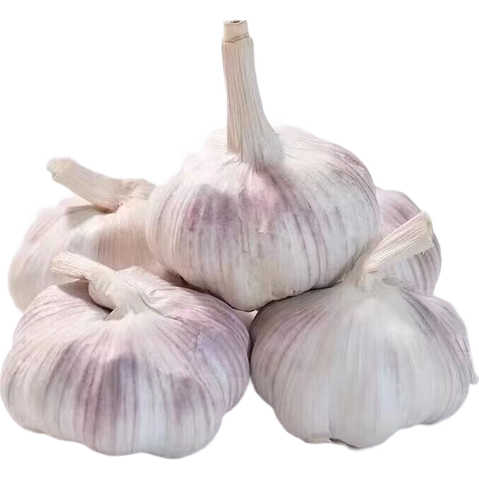 �������ɽ����ѡ�ɴ��� ��Ƥ���� 5.0cm�� ����2�� 9.9Ԫ