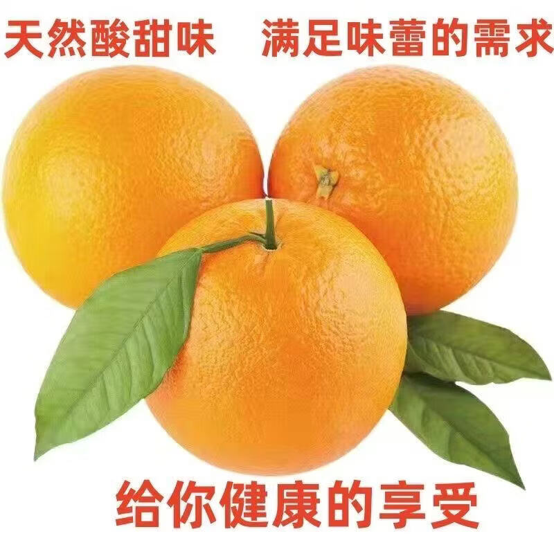 2025Ŧ�ɶ���� ��������ֱ�� ���ʲ�ժ 70mm+ ����8�� 10.99Ԫ