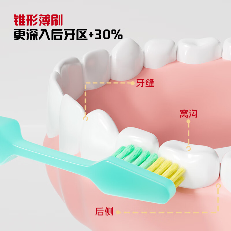 美可中毛牙刷家庭装成人学生高档锥形牙刷硬毛牙刷 中毛 8支