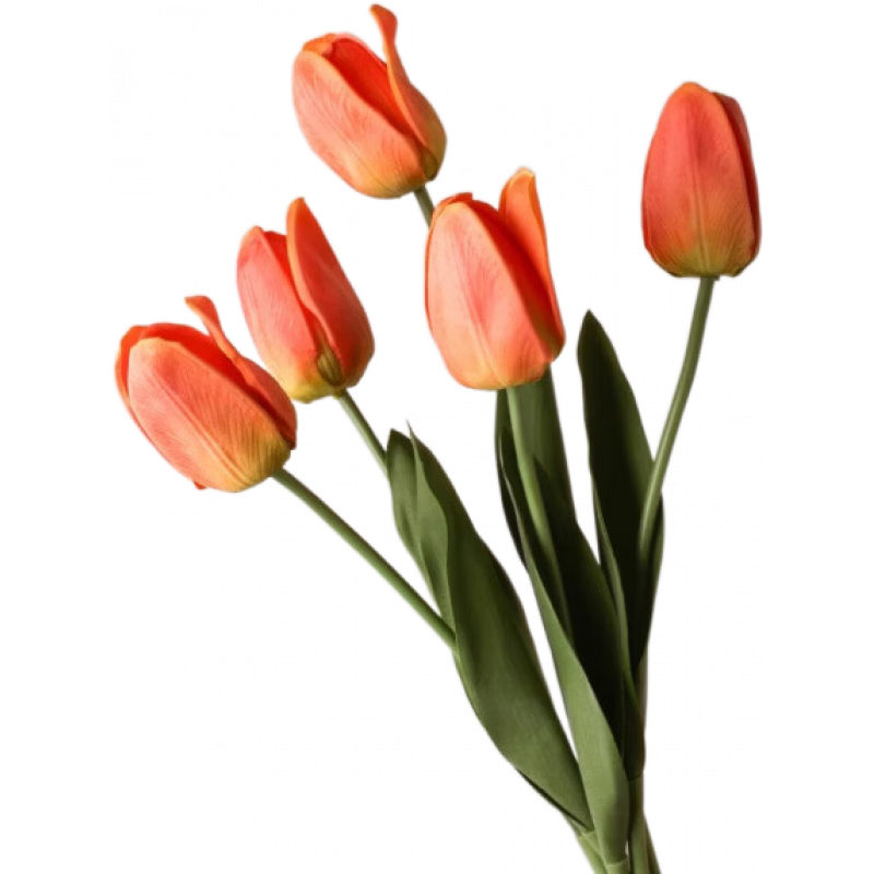 貝漢美（BHM）郁金香仿真花花束擺件假花客廳仿真手感客廳桌面插花裝飾品 手感郁金香(橙紅裝) 5支