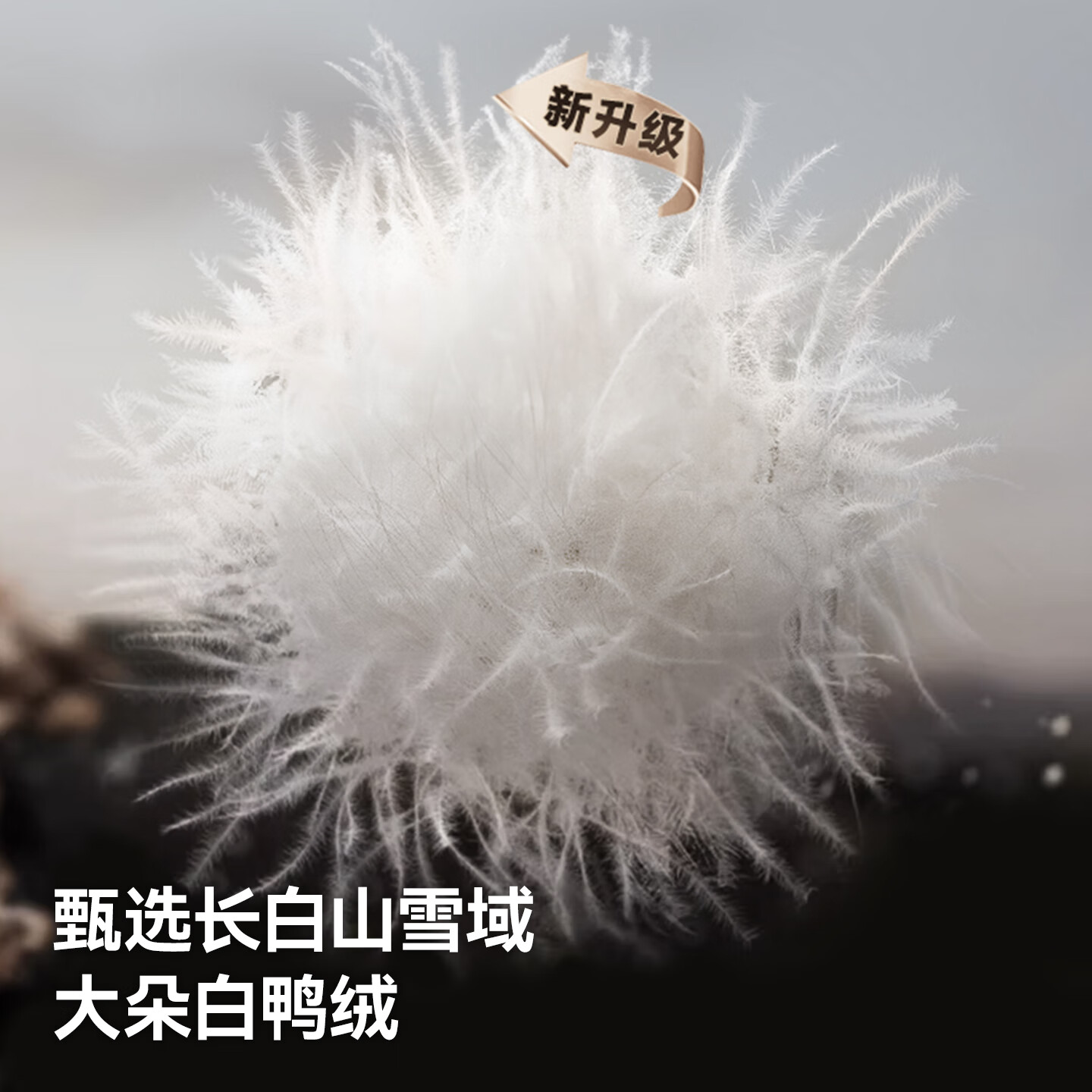 贝肽斯儿童羽绒连体衣男女童外出棉衣秋冬新款白鸭绒轻薄保暖宝宝衣服 米色 (单件装) 66 cm充绒量43g
