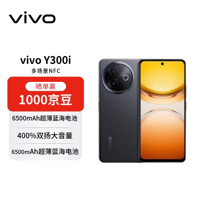 vivo Y300i 12GB+256GB 墨玉黑 全面抗摔金刚盾玻璃 6500mAh超薄电池 双扬大音量【赠话费券】国家补贴