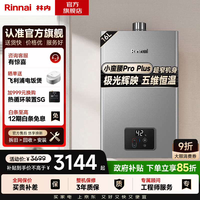 林内（Rinnai）【小蛮腰】【国家补贴立减15%】 燃气热水器天然气13升 恒温轻音 纤巧机身 13GD31 以旧换新 16L GD33【小蛮腰Pro plus五维恒温】