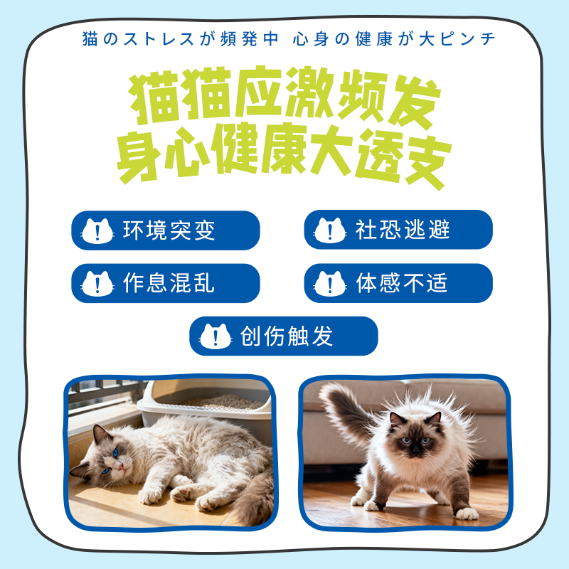 DHC Kitty&Doggy猫咪情绪舒缓粉预防应激缓解情绪宠物猫用安抚焦虑情绪 【预防应激】50g丨约60天