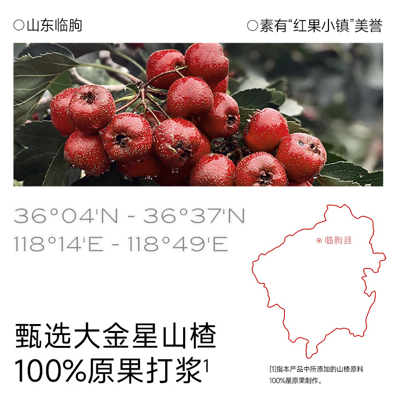 不二宝贝山楂棒棒糖小葫芦水果条搭婴儿幼儿童无添加无蔗糖宝宝零食 【1桶18支 | 山楂鸡内金】山楂葫芦串234g