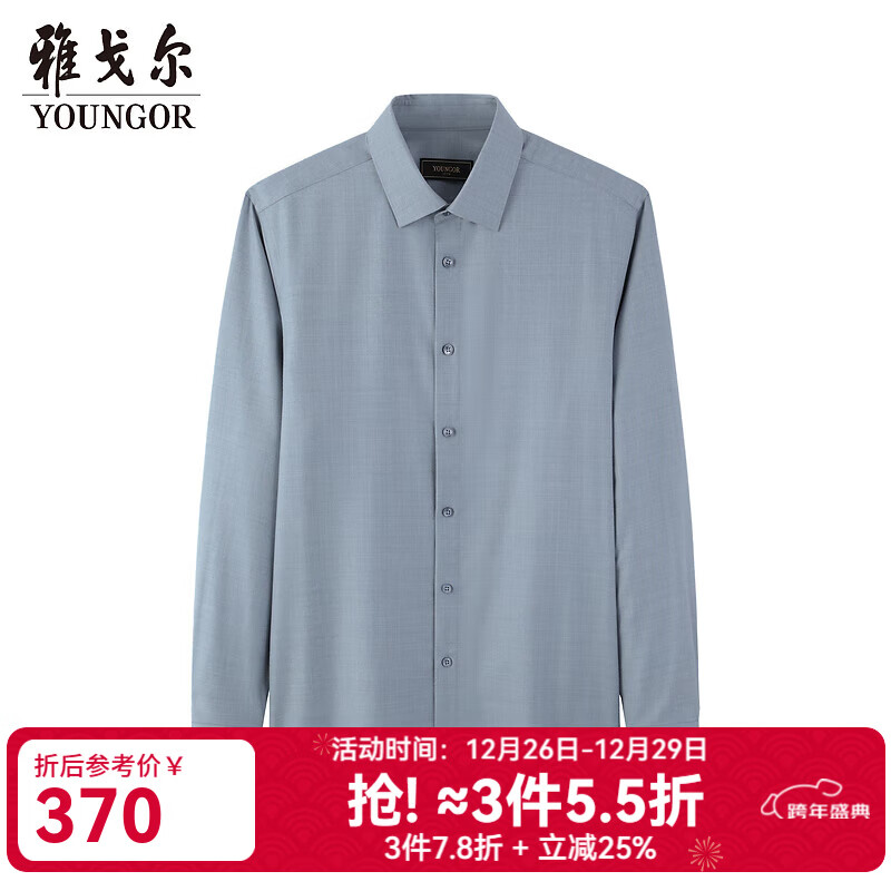 雅戈尔（YOUNGOR）衬衫男士秋冬青年男长袖衬衫羊毛混纺面料可机洗衬衫 浅蓝色素色VLQW119709IBA 39 （170/88A）