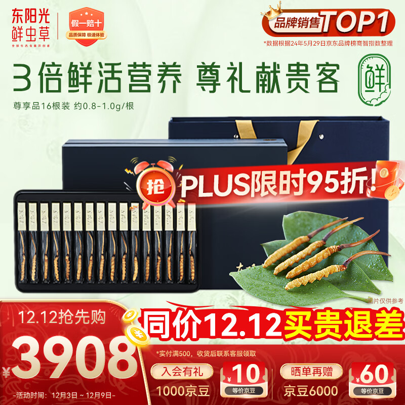 东阳光鲜虫草0.8-1g/根16根新鲜冬虫夏草补品送长辈老人源头直发包邮