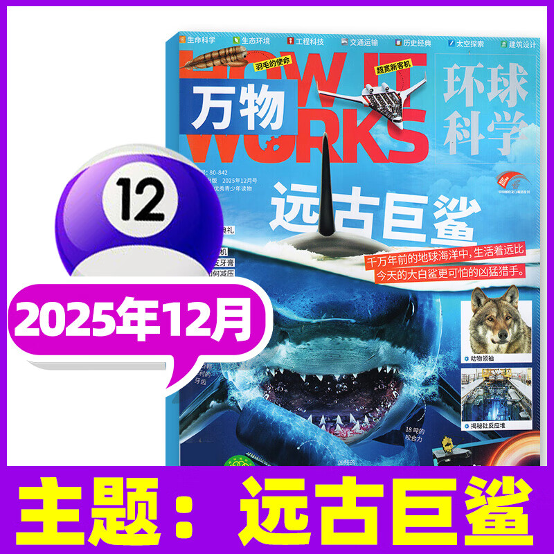 万物杂志2025年1-12月现货/2026全年/半年订阅 8-15岁青少年版送音频环球科学How it works中文版科普百科期刊中小学生阅读过刊K 【新！现货】25年12月【远古巨鲨】