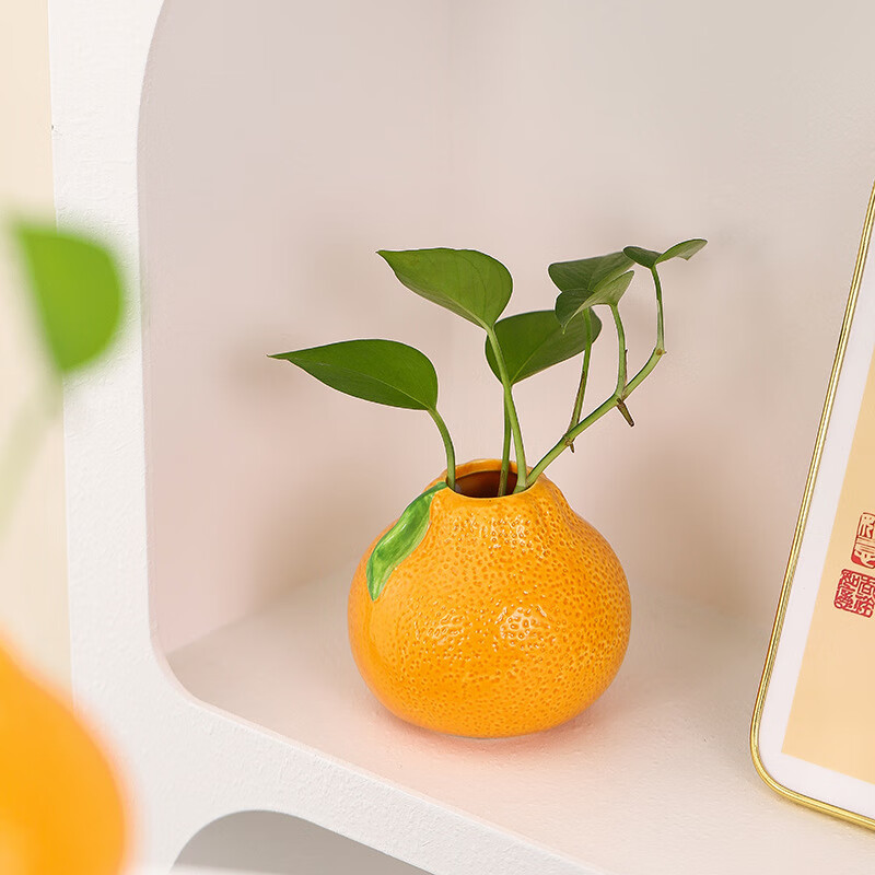 OYKTN自产自销水果橘子花瓶陶瓷创意水养绿萝水培花盆花器装饰摆件批发 小号橘子花瓶（1个）无绿植