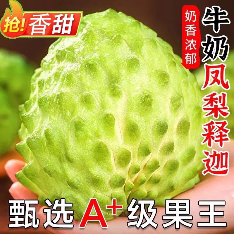 绿熊庄园释迦果番荔枝新鲜牛奶凤梨释迦青色果牛奶佛头果新鲜热带水果送礼 2斤装【单果250g+】净1.5斤