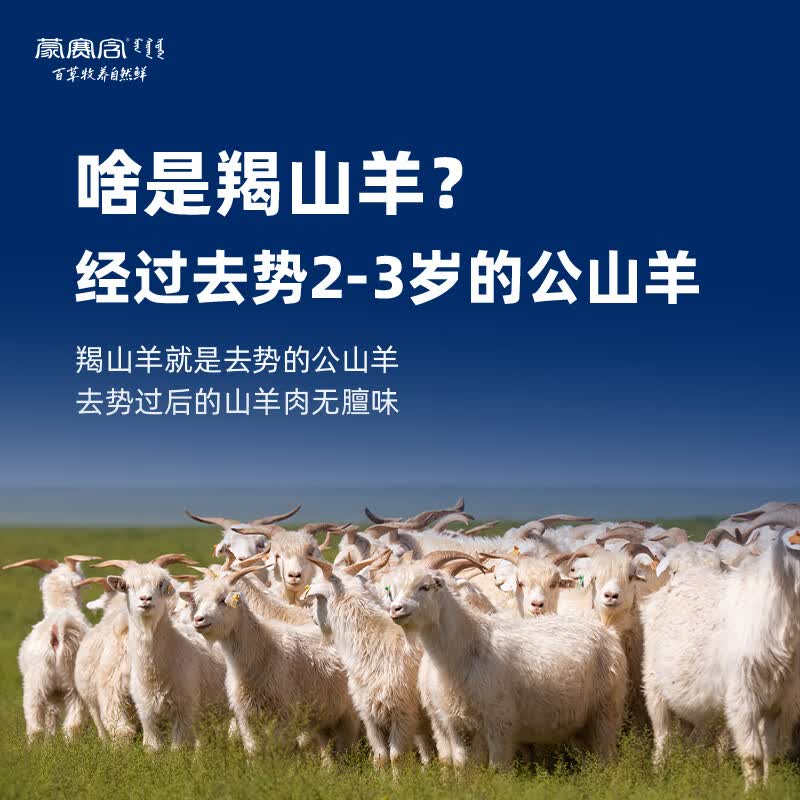 蒙赛含 阿尔巴斯山羊肉 原切羯羊带骨肉块1kg 羊汤骨煲 生鲜羊肉手抓肉 2斤