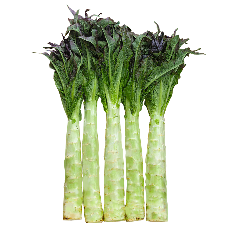 ��Ѹ ����ݫ�� ��Ҷݫ�� ���� ʱ�������߲� ����5�� ����װ 10.3Ԫ