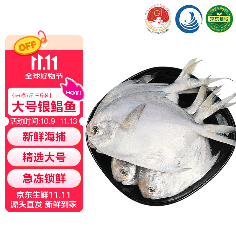 鲜京采 冷冻舟山地标鲜捕大号银鲳鱼净重3斤 5-6条/斤 源头直发