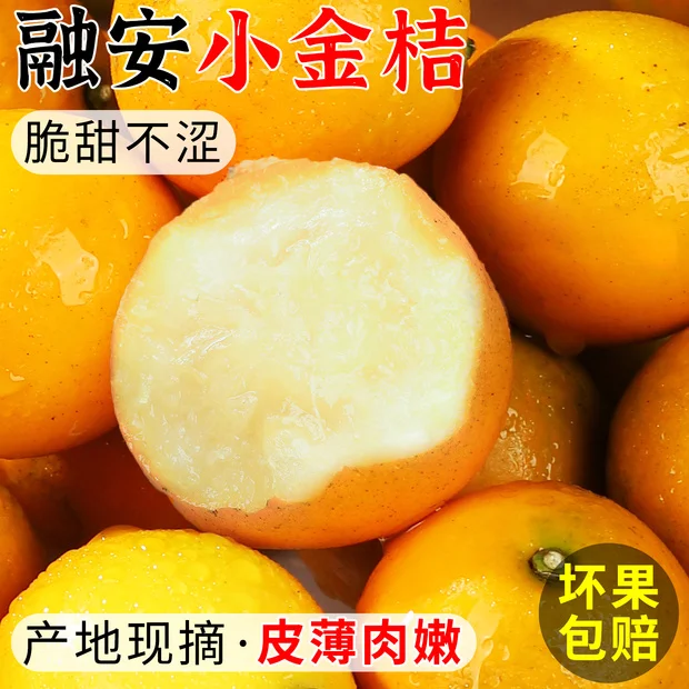 北道主广西脆皮金桔新鲜水果桔子当季现摘甜蜜金柑桔金橘融安特产整箱 3斤(净重2.8斤) 【小果】尝鲜装 | 约65个左右/斤