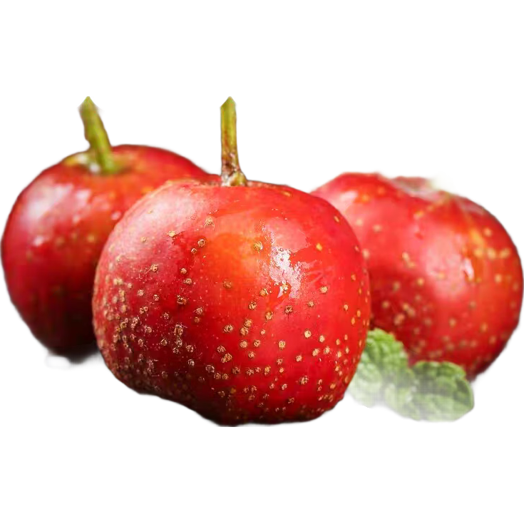 ʢ���� �����ɽ� �ʹ����2��װ 1.9Ԫ