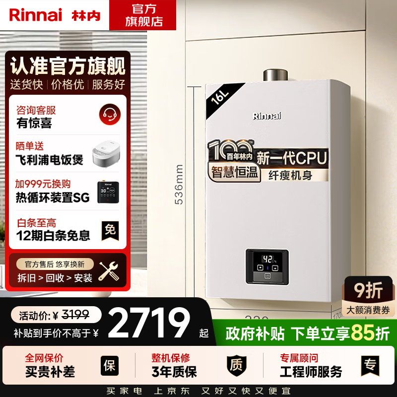 林内（Rinnai）【小蛮腰】【国家补贴立减15%】 燃气热水器天然气13升 恒温轻音 纤巧机身 13GD31 以旧换新 16L GD31【小蛮腰-恒温轻音】