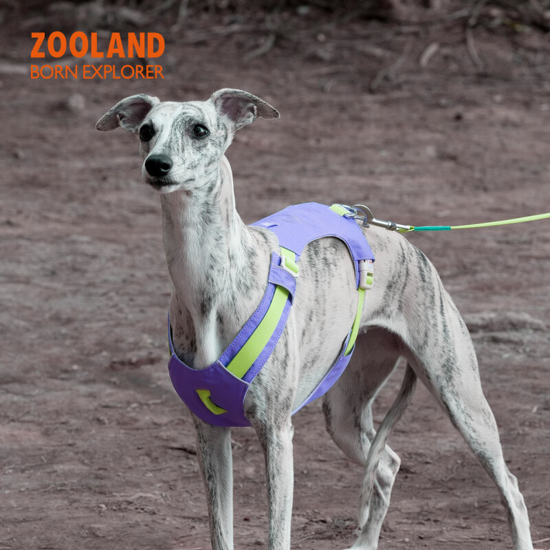 OIMG狗狗胸背牵引绳子遛幼小中大型犬泰迪柯基比熊边牧博美用 西瓜粉【胸背】 XXS码(胸围32-40CM)建议4-8斤