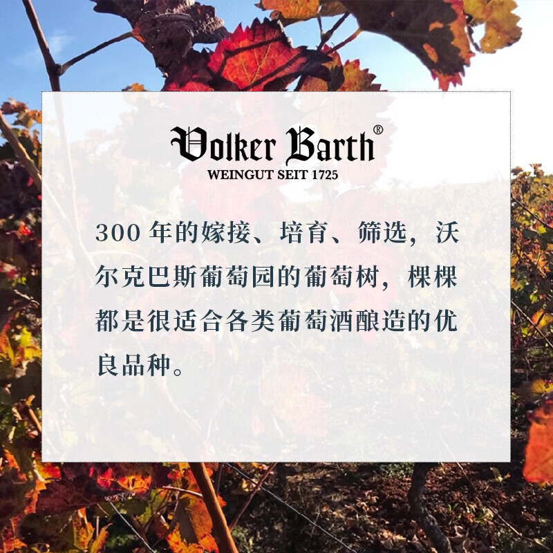 沃尔克巴斯(Volker Barth)红酒 德国原装进口高档葡萄酒 半甜型丹菲特单瓶750ml【浆果风味】