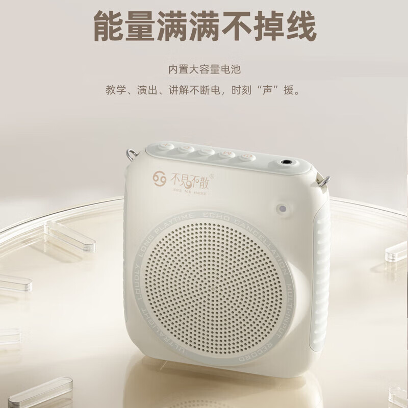 不见不散 K2无线小蜜蜂扩音器头戴麦教师上课专用麦克风蓝牙喇叭大音量可插u盘导游户外长续航扩音机 薄荷绿