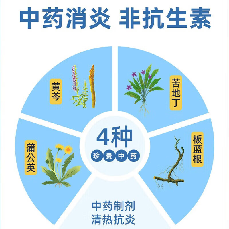 [恒医森]蒲地蓝消炎片 0.31g*52片 2盒装 蒲地蓝消炎片0.31g*52片 消炎药喉咙痛嗓子疼咽喉肿痛清热去火解毒抗炎 万人复购常备装